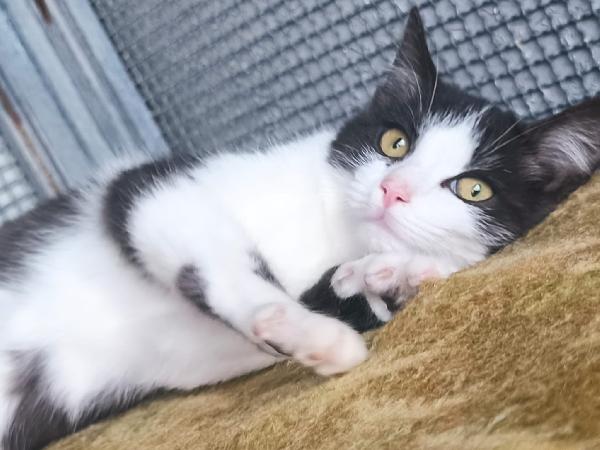  Mercoledì dal nasino rosa Foto 8